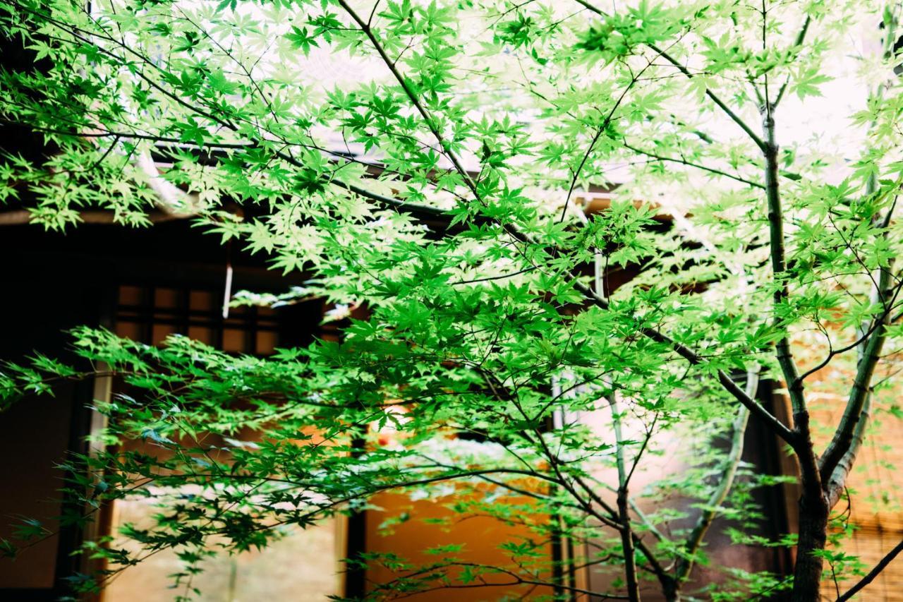 Tsukito — Photos 1